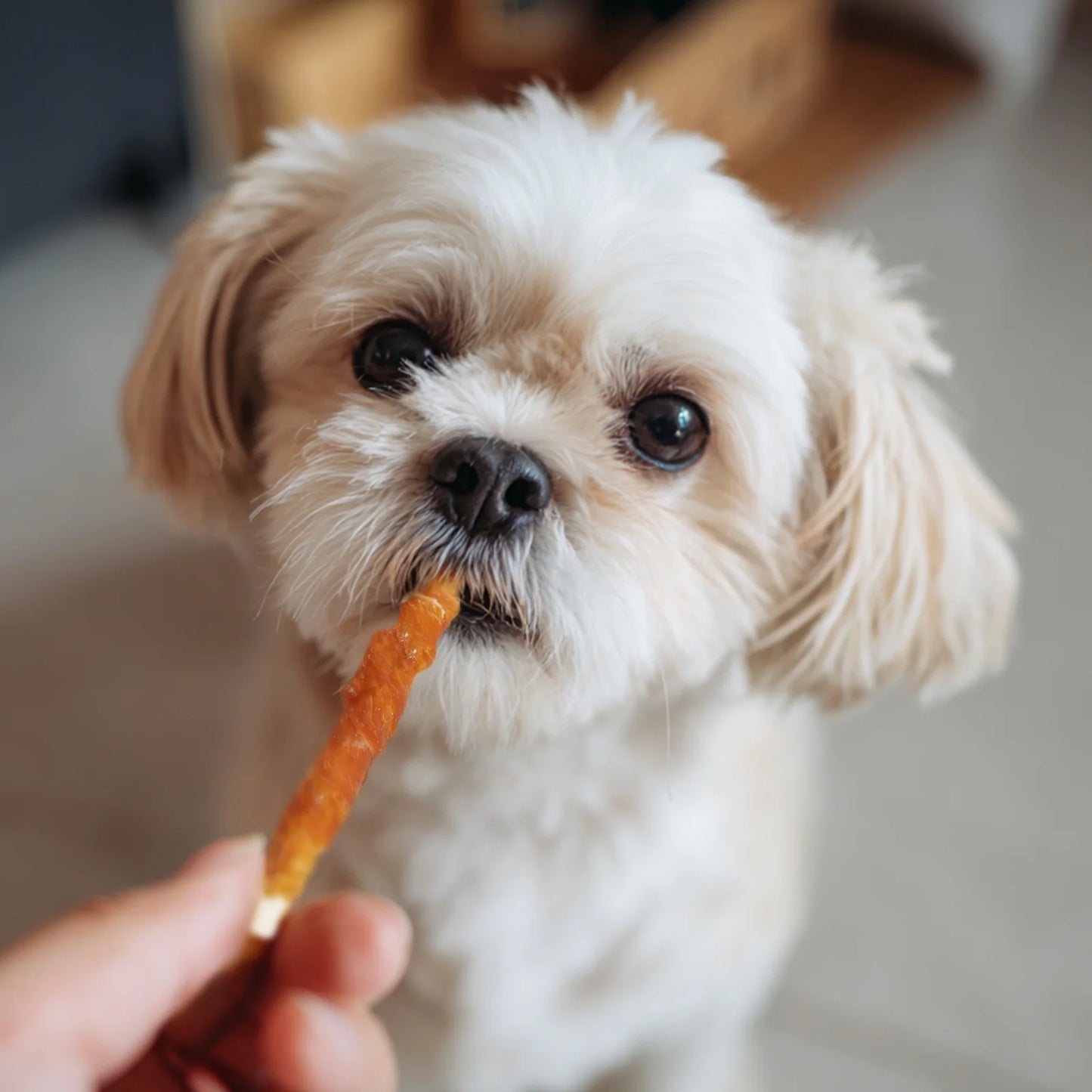 Chicken Jerky with Rawhide Sticks Dog Treats, 10 Oz (25 Ct)