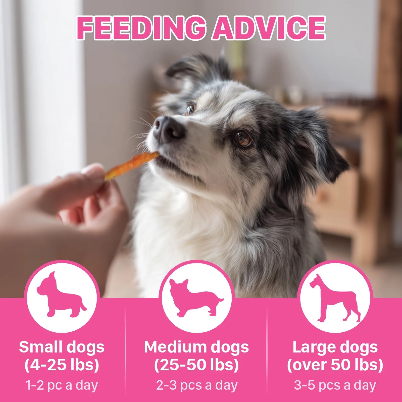 Chicken Jerky with Rawhide Sticks Dog Treats, 10 Oz (25 Ct)