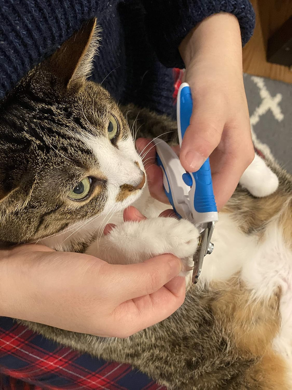 Scamper Pets Dog Nail Clippers, Nail Clipper for Dogs, Cat Nail Clippers with Pet Safety Lock (Medium)