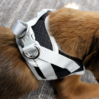 Dog Harness, Black, (XS)